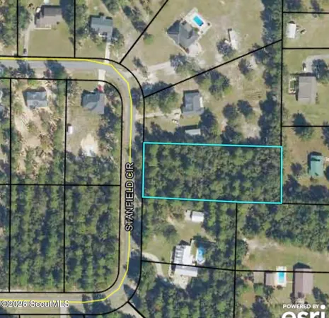 $32,500 | Lot 20 Stanfield Circle, Blackshear, GA 31516
