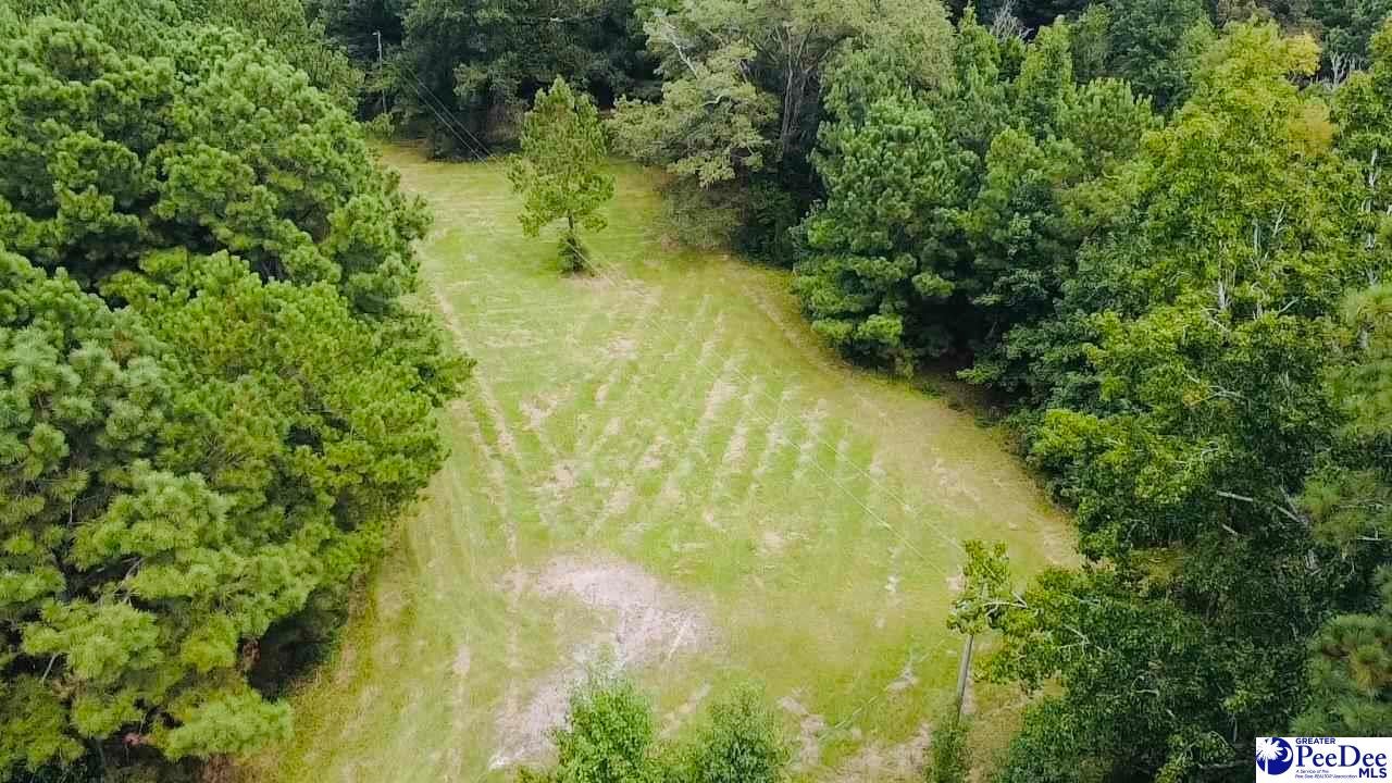 Tbd East Tbd E Friendfield Road Coward, SC 29530 - Photo 9 of 29 Gallery Image 9