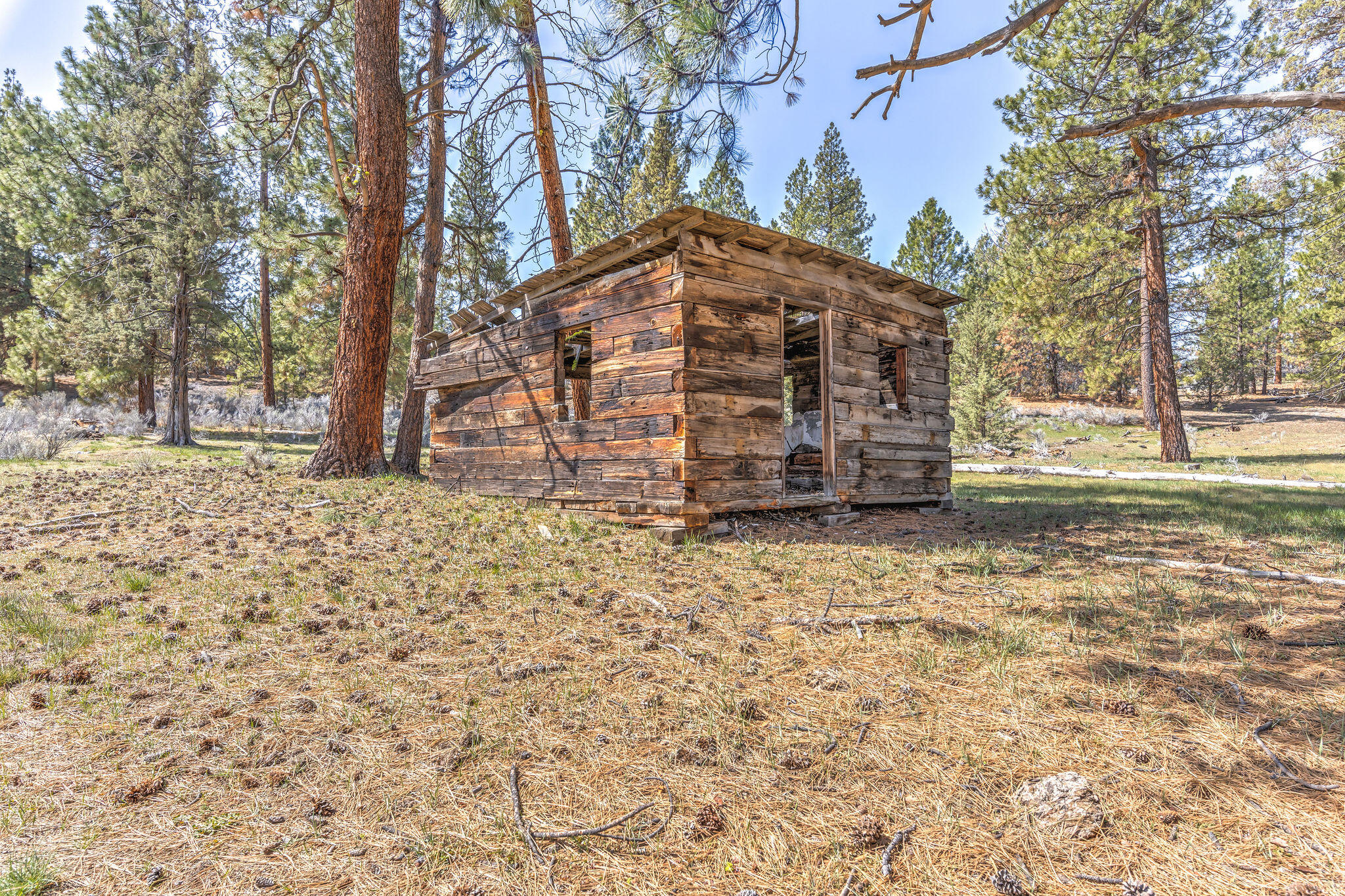 20850 Campbell Road Bly, OR 97622 - Photo 65 of 137 090A5893_4_5_6_7