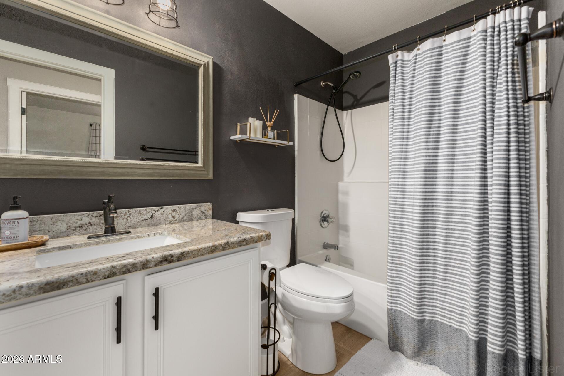 1736 East Robin Lane Gilbert, AZ 85296 - Photo 19 of 25 a bathroom with a granite countertop sink toilet and mirror