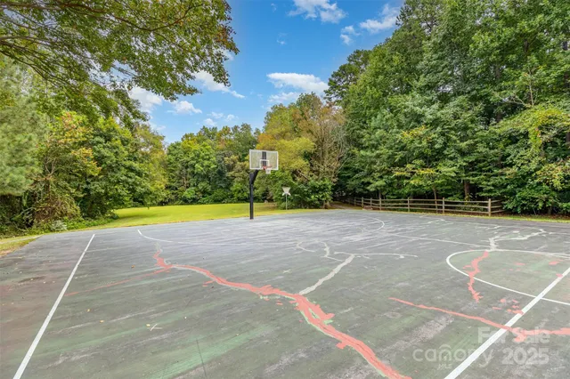 a view of a backyard