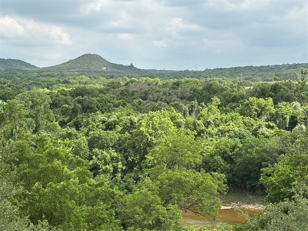 10106 Ravenswood Road Granbury, TX 76049 - Photo 39 of 39 a view of a green field with lots of bushes