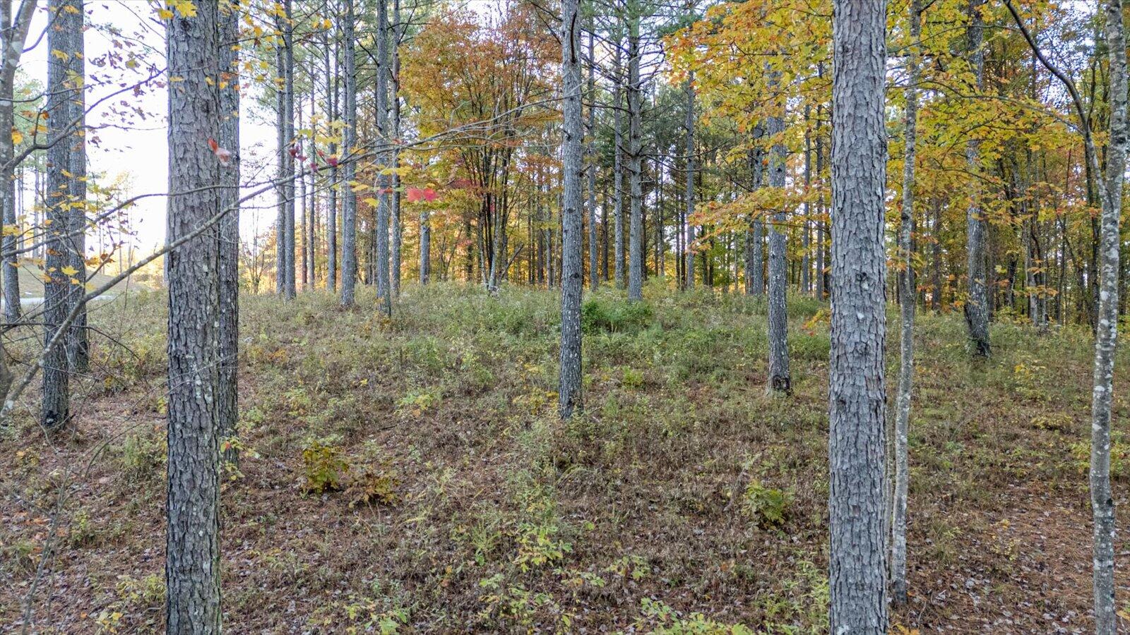 0 Split Rail Way, Unit LOT 1127 Guild, TN 37340 - Photo 14 of 25 14-1127 Split Rail Way-14