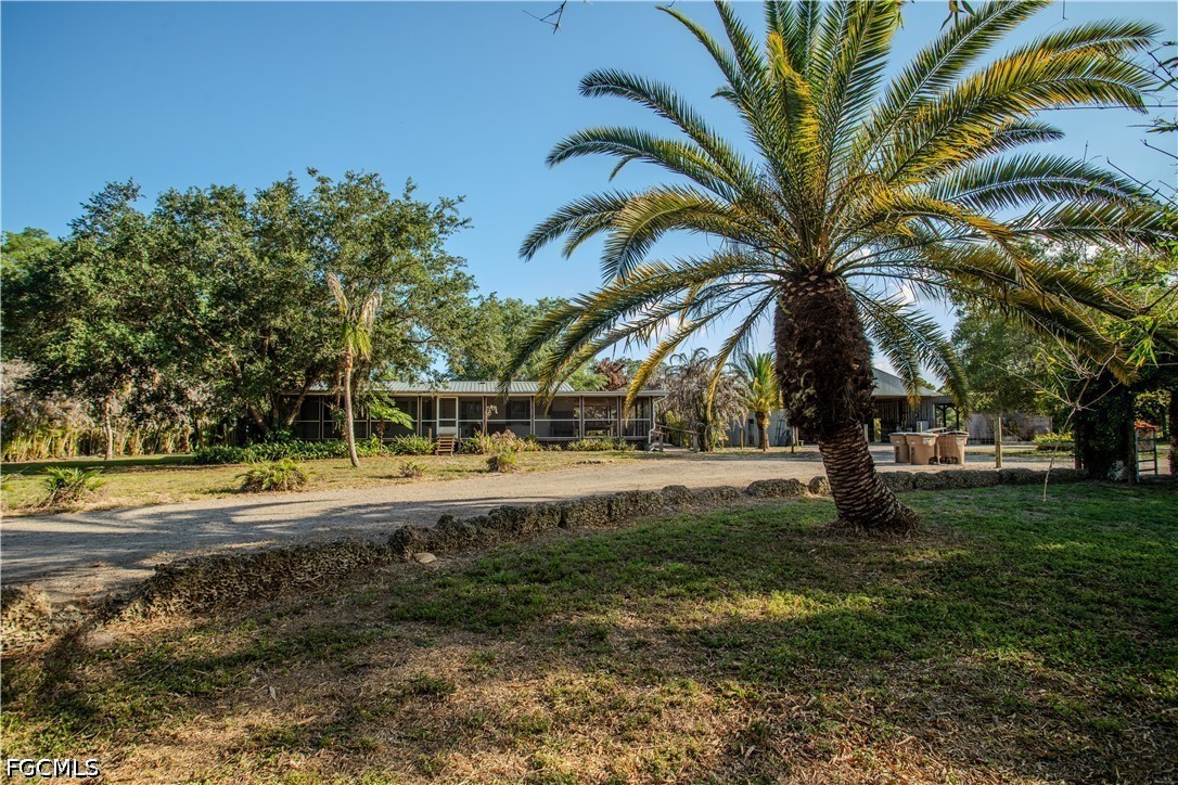 3880 Packinghouse Road Alva, FL 33920 - Photo 15 of 29 a view of a yard with swimming pool