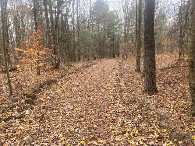 $289,900 | 5601 Pigtail Road, Friendship, NY 14739