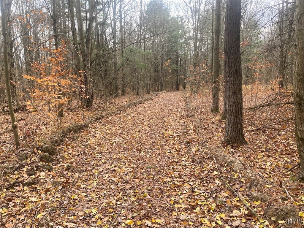 5601 Pigtail Road Friendship, NY 14739 - Photo 26 of 32