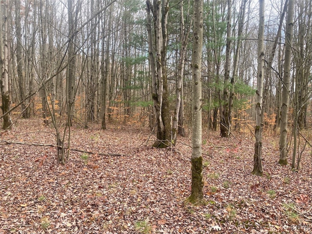 5601 Pigtail Road Friendship, NY 14739 - Photo 27 of 32