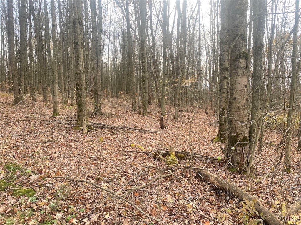 5601 Pigtail Road Friendship, NY 14739 - Photo 28 of 32