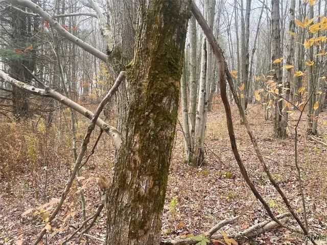 $289,900 | 5601 Pigtail Road, Friendship, NY 14739