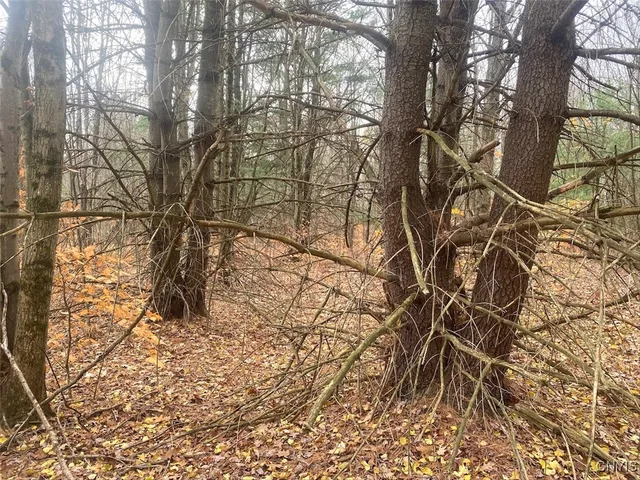 $289,900 | 5601 Pigtail Road, Friendship, NY 14739