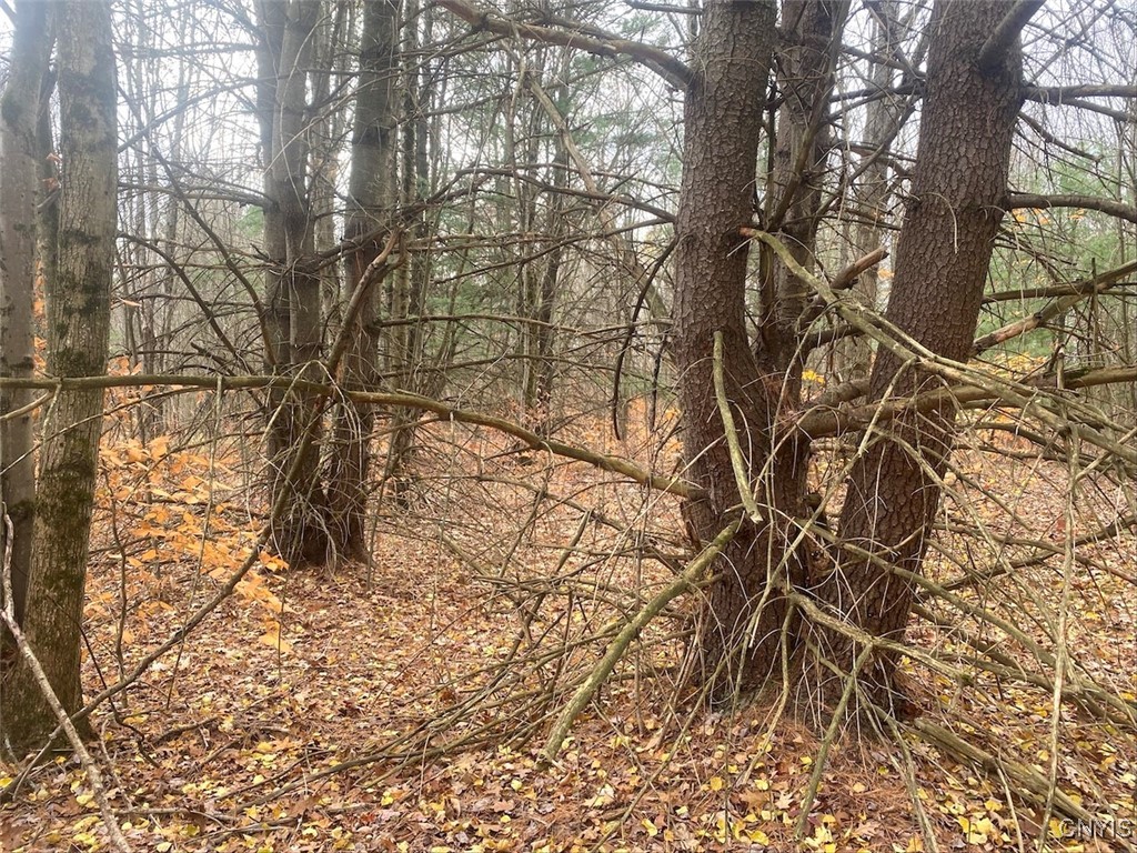 5601 Pigtail Road Friendship, NY 14739 - Photo 30 of 32