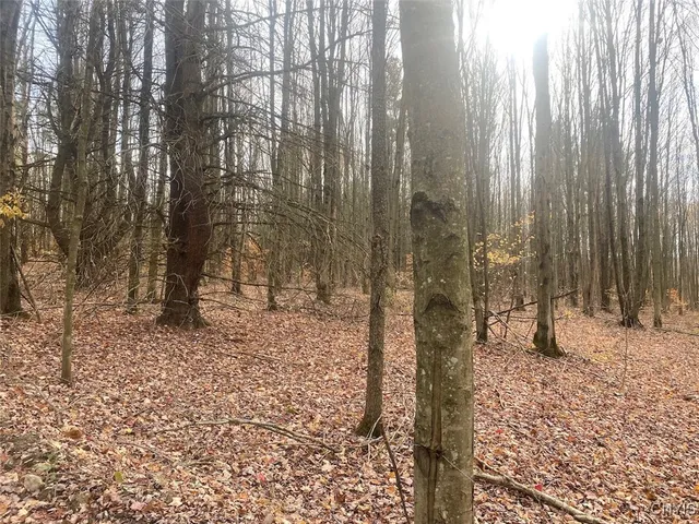 $289,900 | 5601 Pigtail Road, Friendship, NY 14739