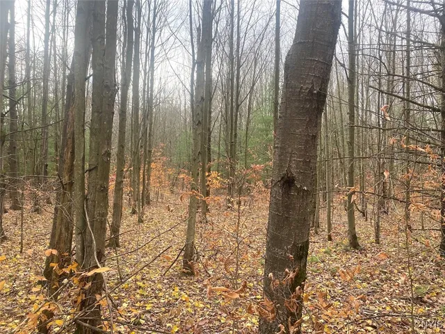 $289,900 | 5601 Pigtail Road, Friendship, NY 14739