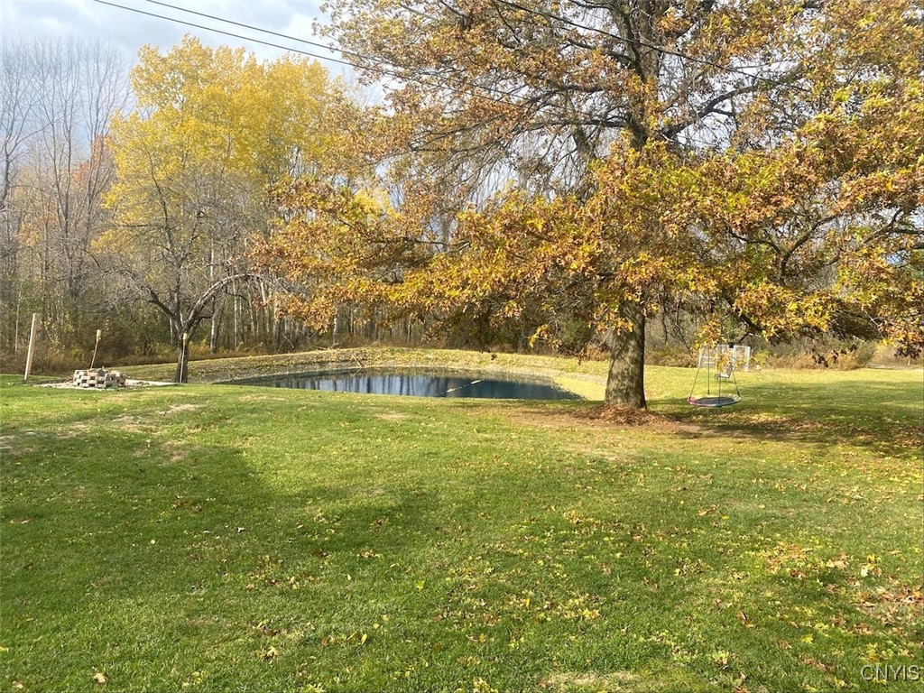 5601 Pigtail Road Friendship, NY 14739 - Photo 5 of 32