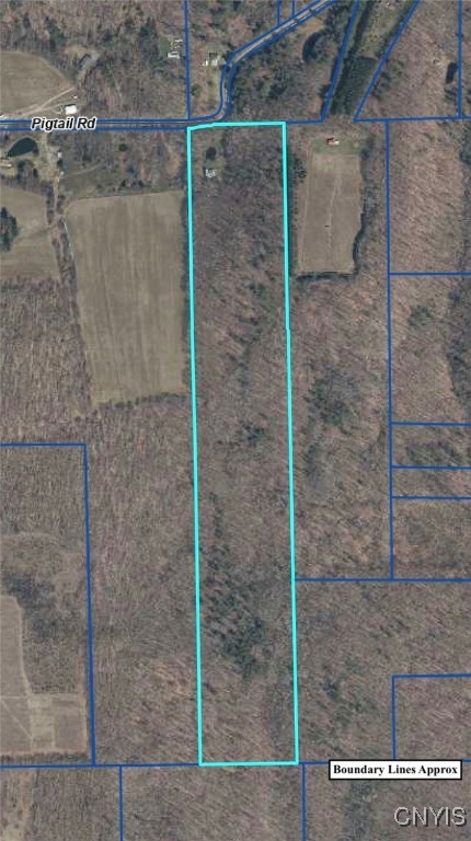 5601 Pigtail Road Friendship, NY 14739 - Photo 6 of 32