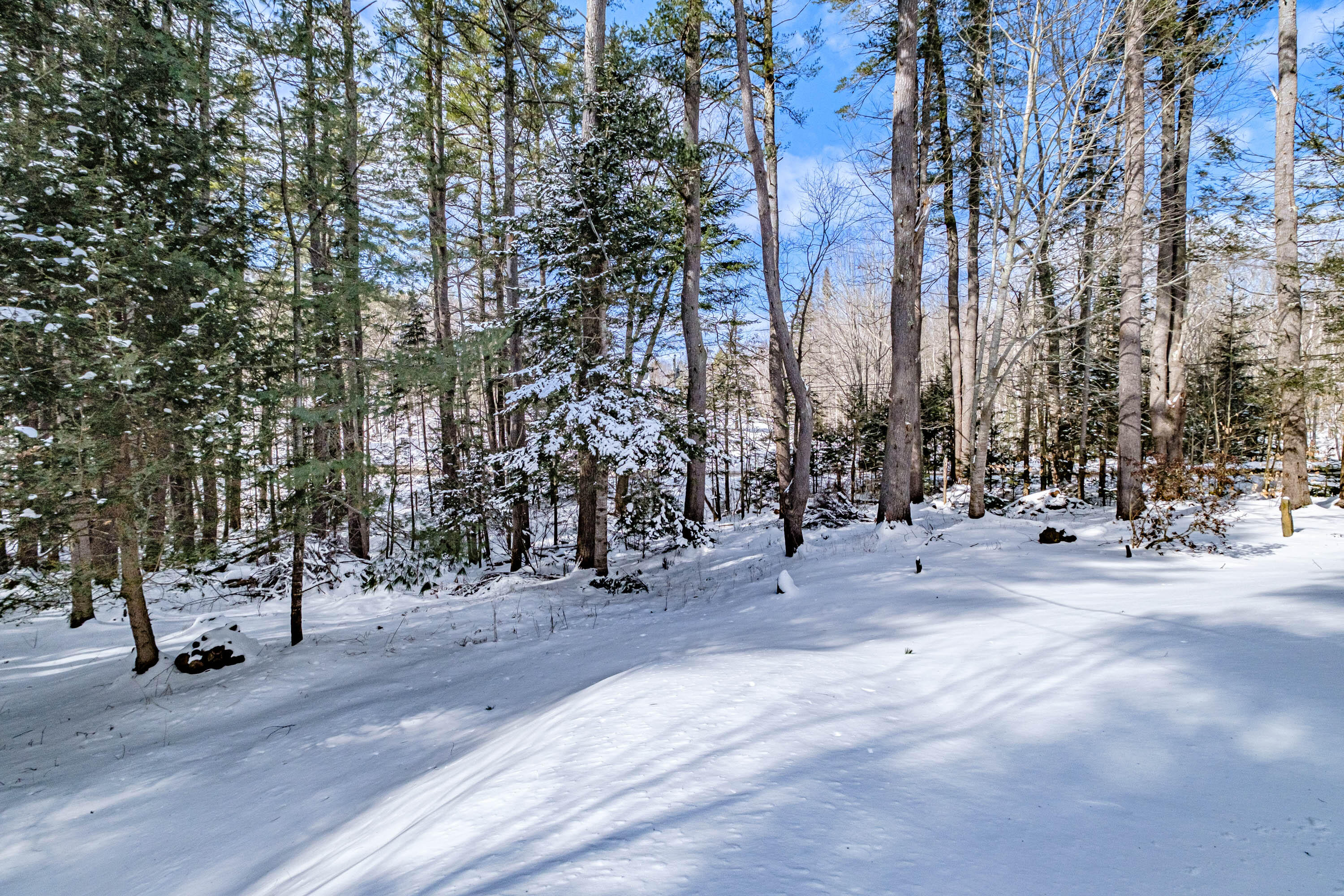 20 Sabino Road West Bath, ME 04530 - Photo 38 of 50 20230224gp-61048