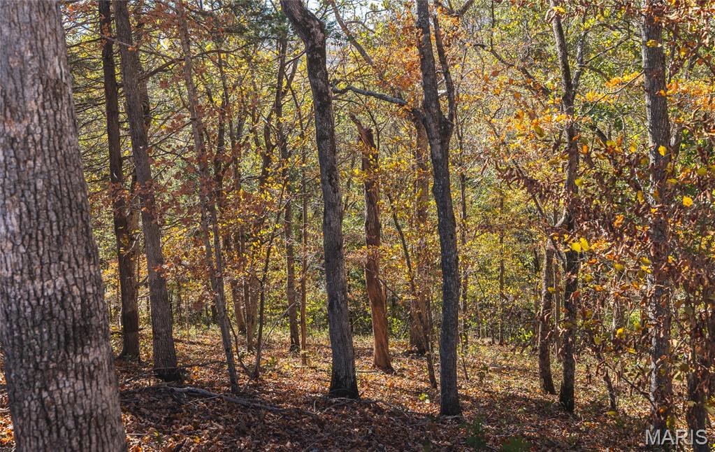 10501 State Rte O Ste. Genevieve, MO 63670 - Photo 35 of 52