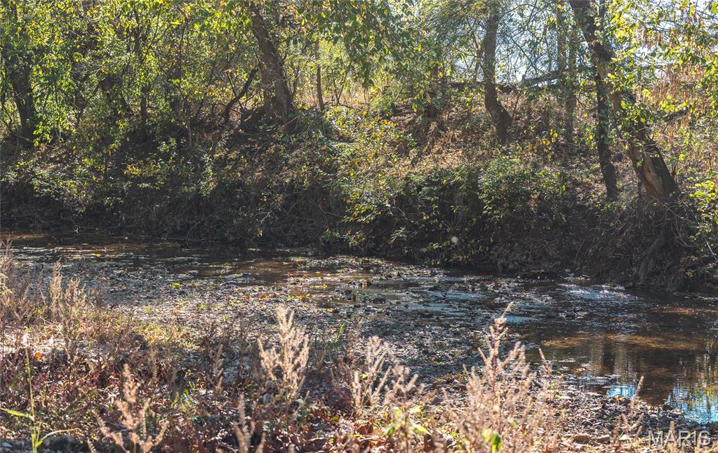 10501 State Rte O Ste. Genevieve, MO 63670 - Photo 36 of 52