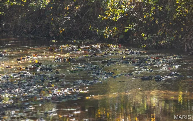 $675,000 | 10501 State Rte O, Ste. Genevieve, MO 63670