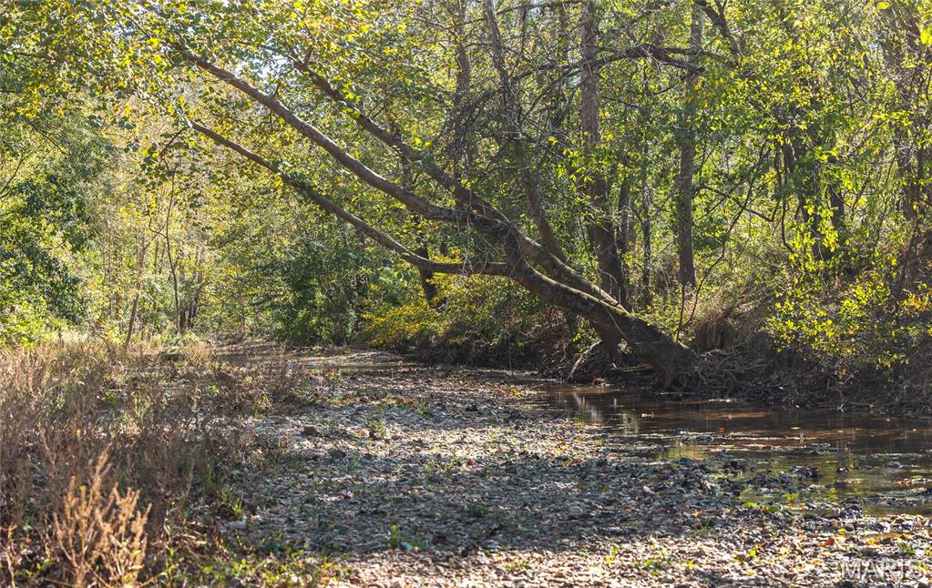 10501 State Rte O Ste. Genevieve, MO 63670 - Photo 38 of 52