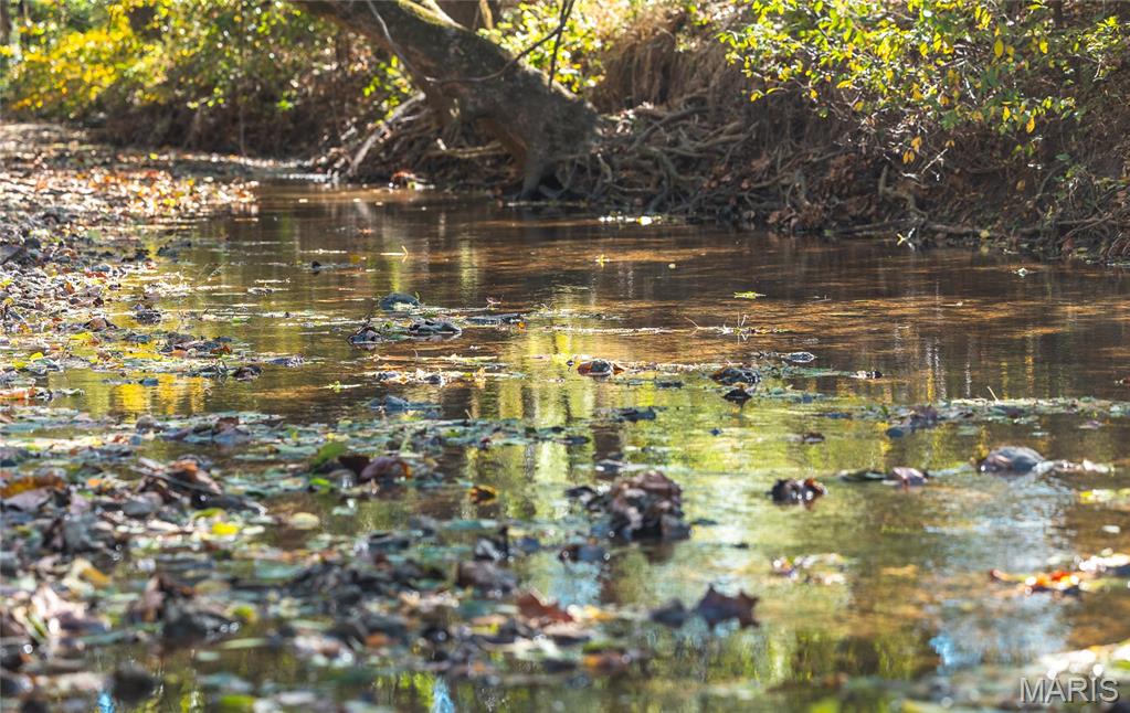 10501 State Rte O Ste. Genevieve, MO 63670 - Photo 40 of 52
