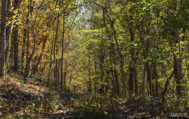 $675,000 | 10501 State Rte O, Ste. Genevieve, MO 63670