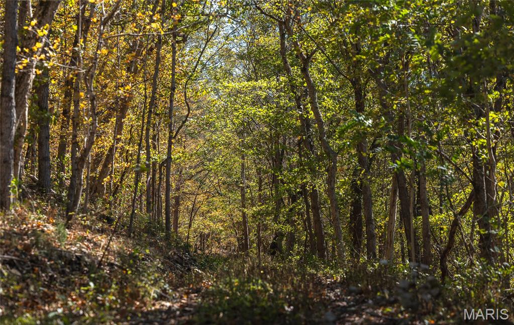 10501 State Rte O Ste. Genevieve, MO 63670 - Photo 42 of 52