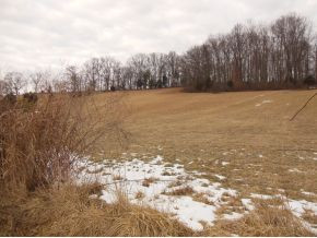 0 Hartmantown Road Jonesborough, TN 37659 - Photo 1 of 8 Photo 1