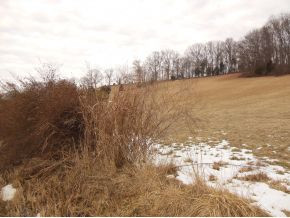 0 Hartmantown Road Jonesborough, TN 37659 - Photo 2 of 8 Photo 2