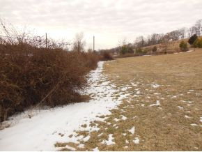 0 Hartmantown Road Jonesborough, TN 37659 - Photo 3 of 8 Photo 3
