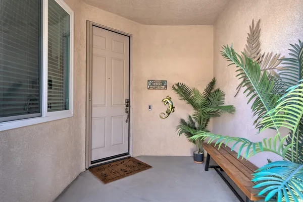 a living room with a potted plant and a window