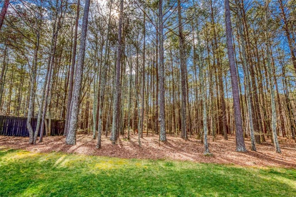 2513 Windfield Place Monroe, GA 30655 - Photo 7 of 49