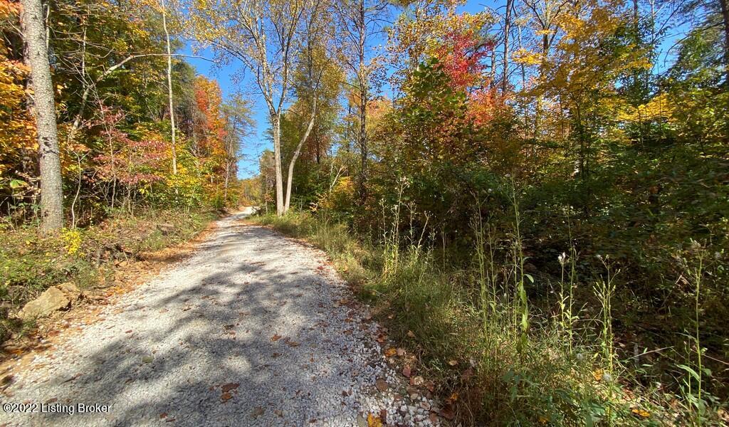 L59 Ted Logsdon Road Clarkson, KY 42726 - Photo 4 of 14 River View Fall9