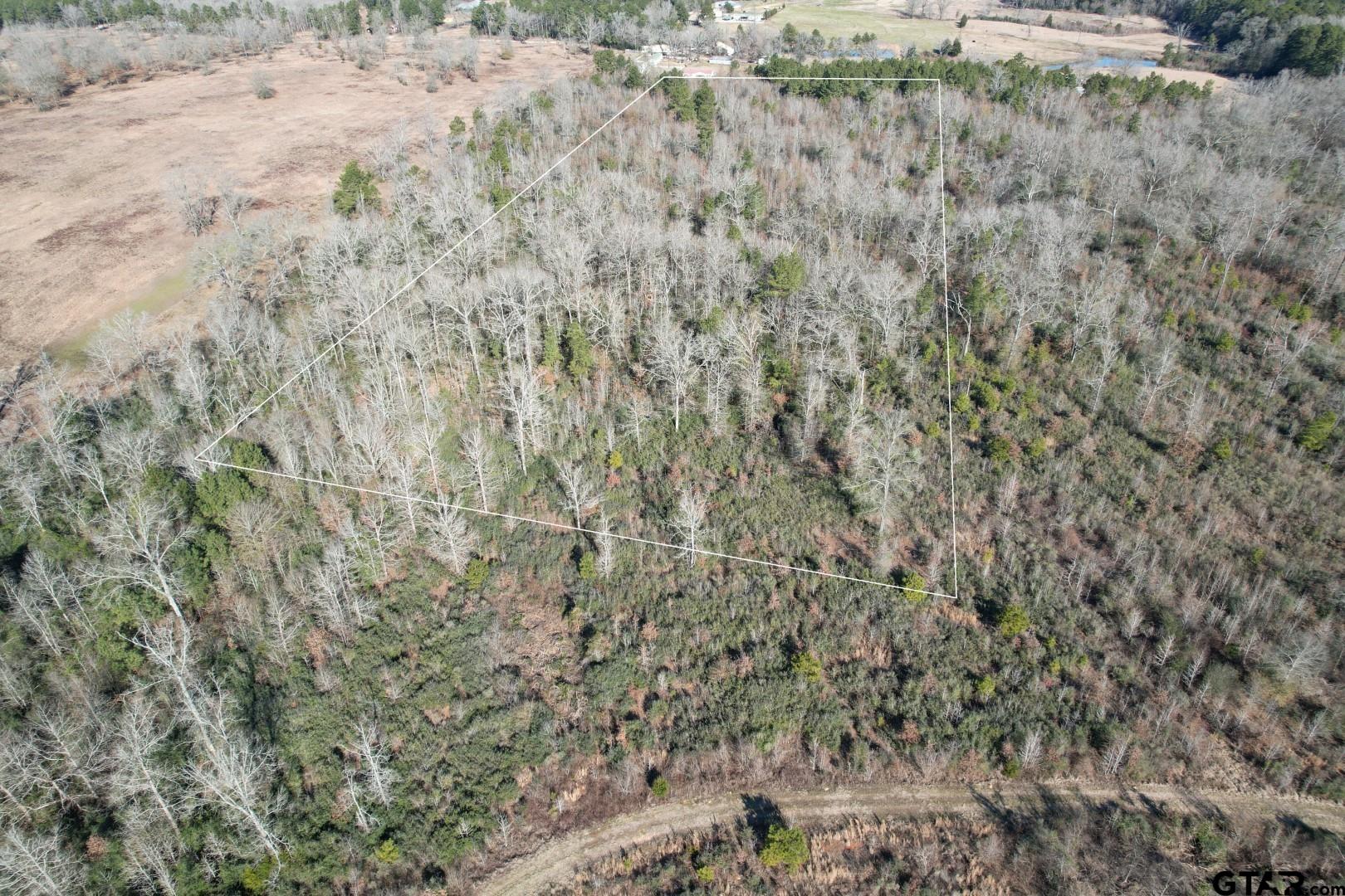 Tbd-c County Road 4021 Timpson, TX 75975 - Photo 2 of 7 a view of a dry yard with trees