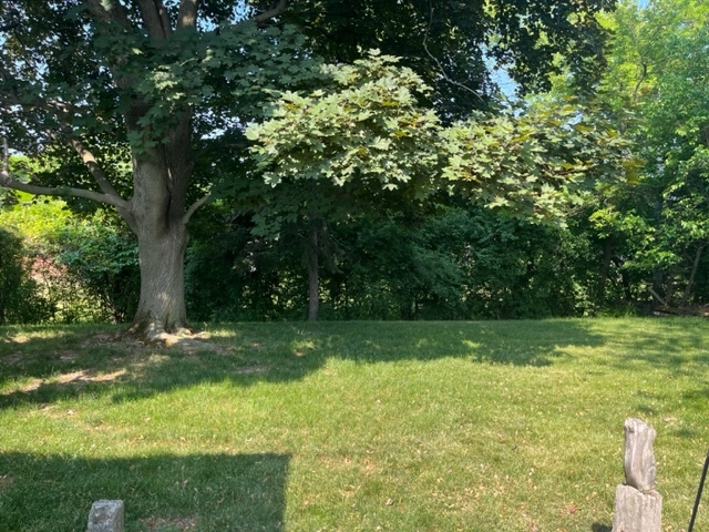 1027 Whitfield Road Northbrook, IL 60062 - Photo 4 of 21 a view of a trees in a yard