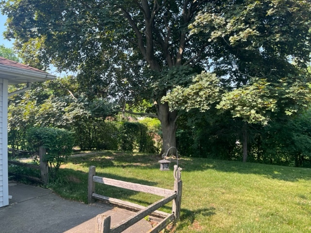 1027 Whitfield Road Northbrook, IL 60062 - Photo 5 of 21 a view of a backyard with trees