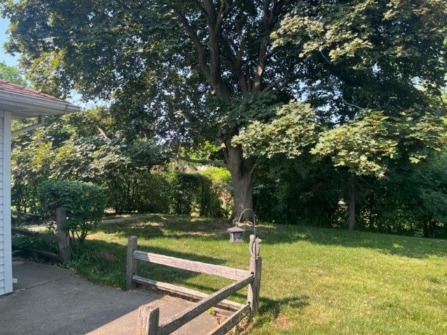 1027 Whitfield Road Northbrook, IL 60062 - Photo 6 of 21 a view of a yard with large trees