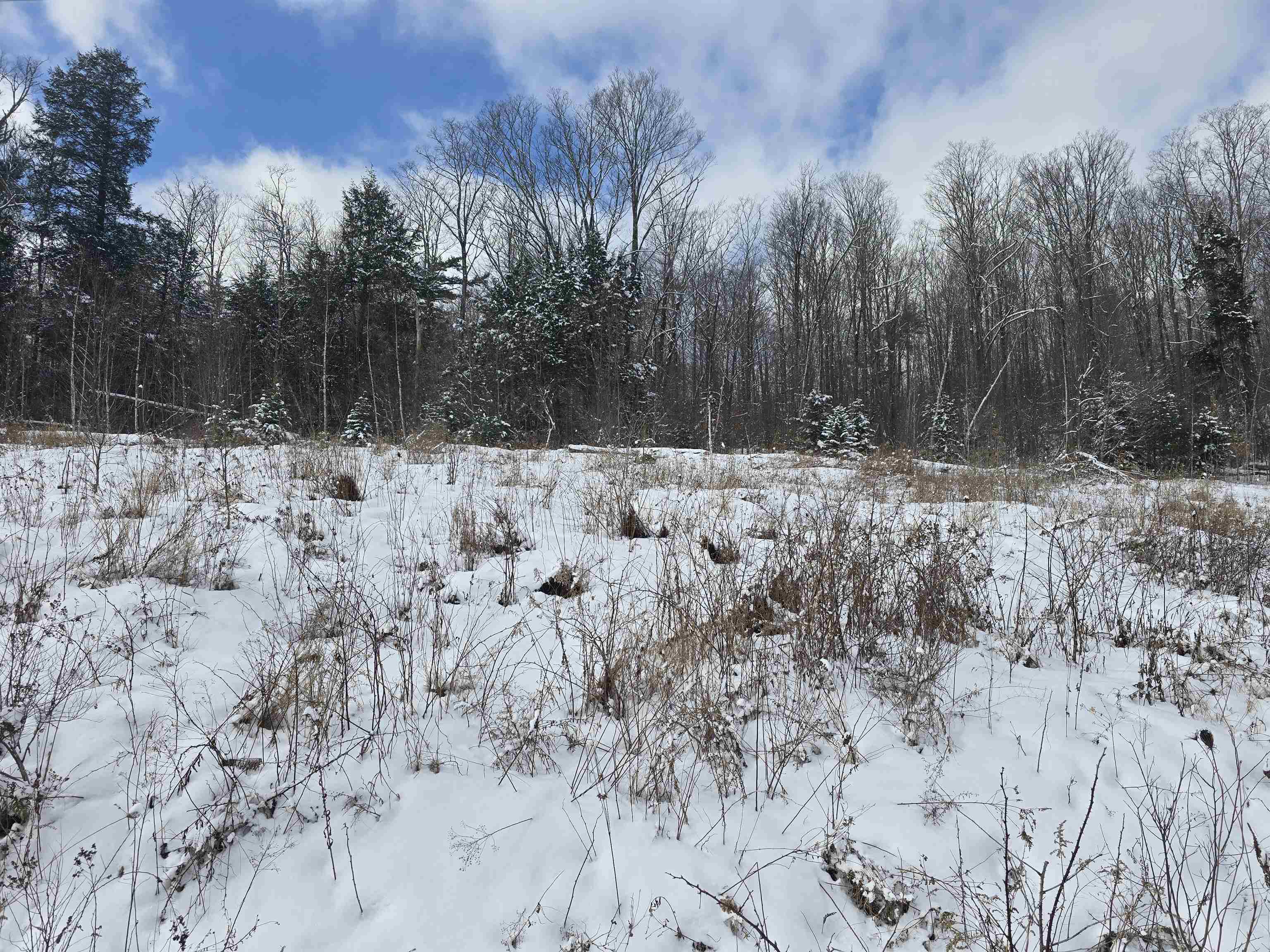 Tbd Farrar Road Chester, VT 05143 - Photo 7 of 24