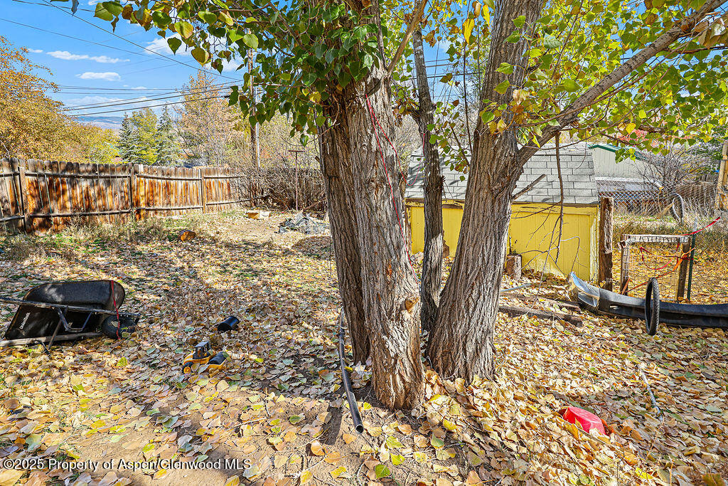 1159 Barclay Street Craig, CO 81625 - Photo 36 of 45 a view of a yard with plants and large trees