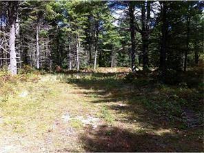 0 Blueberry Road Waterboro, ME 04087 - Photo 1 of 3 Photo