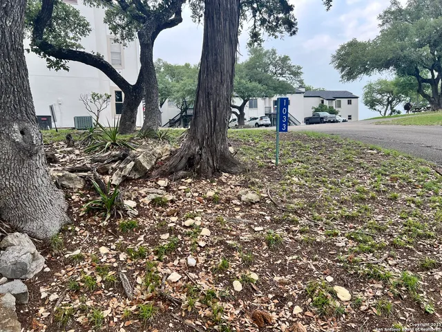 a garden view with a fountain