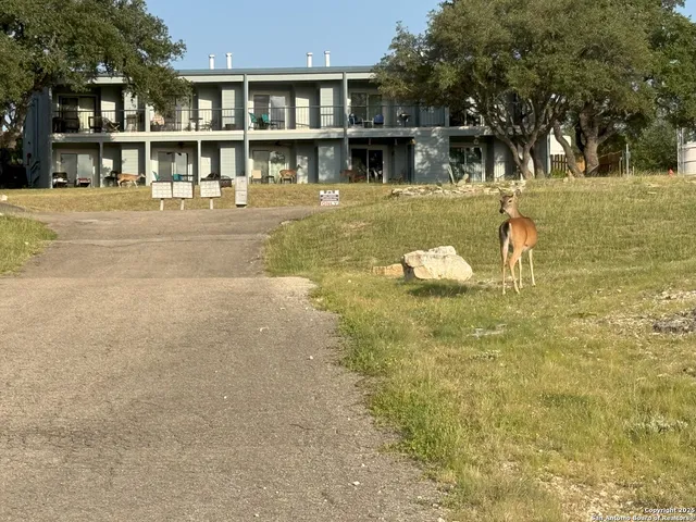 a house with swimming pool