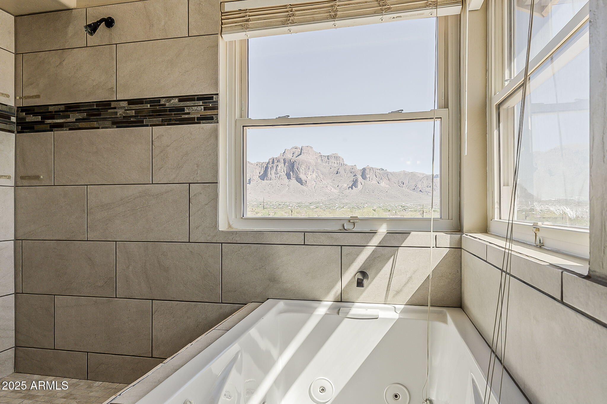 1410 North Goldfield Road Apache Junction, AZ 85119 - Photo 21 of 45 a view of a bathroom with a bathtub