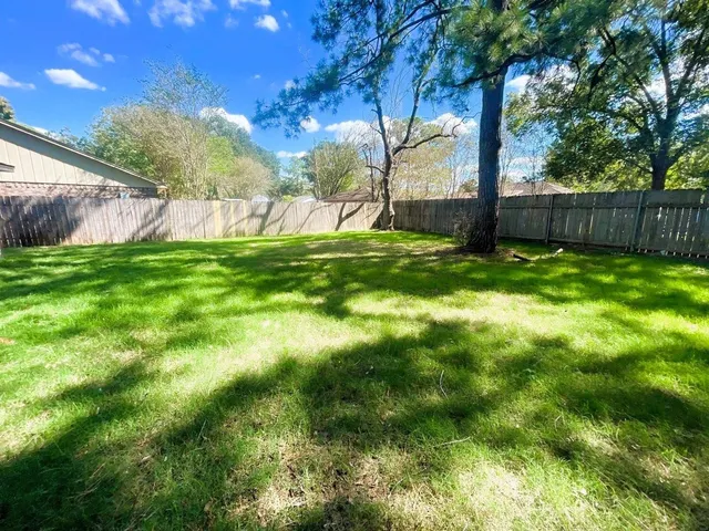 a view of backyard with tree