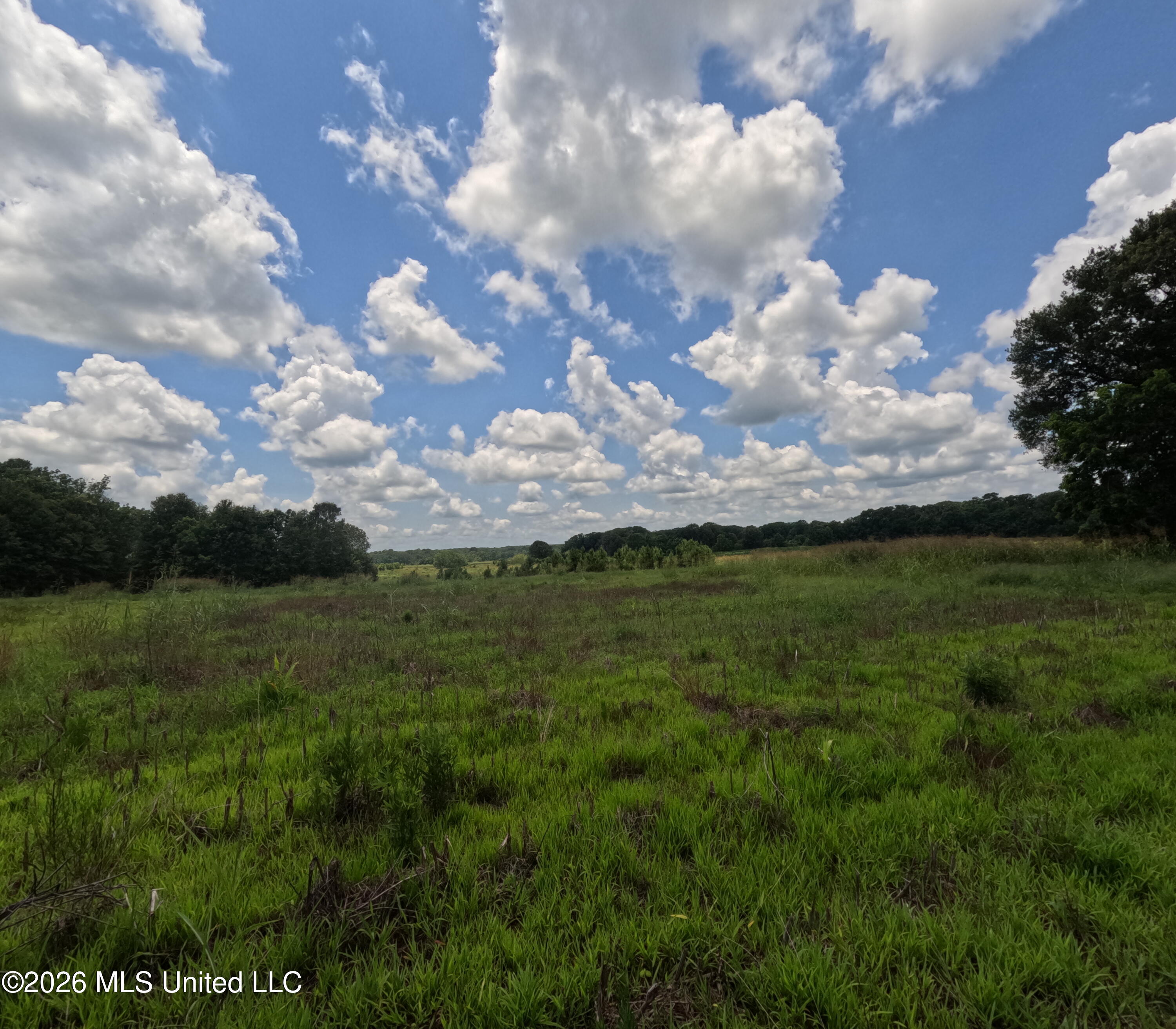 Old Port Edwards, MS 39066 - Photo 24 of 65 GOPR2252