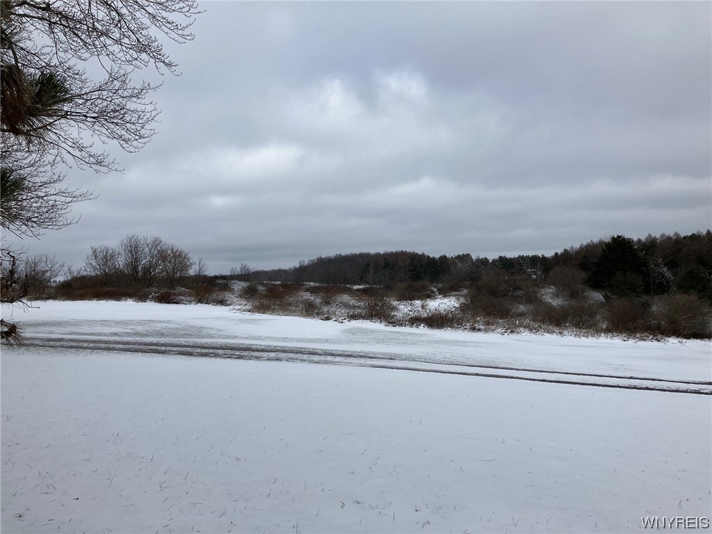 6819 State Route Perry, NY 14530 - Photo 19 of 20