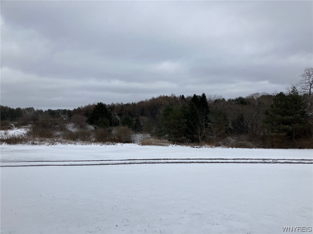 6819 State Route Perry, NY 14530 - Photo 20 of 20