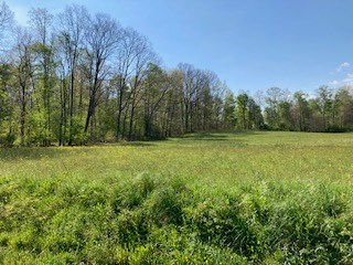 0 Warner Road Kennerdell, PA 16374 - Photo 4 of 13 a view of a field with trees in the background