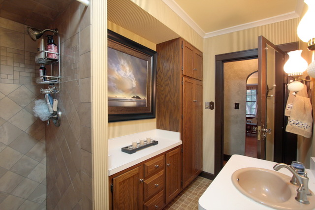 21455 Hillside Road Frankfort, IL 60423 - Photo 14 of 25 a bathroom with a sink and a mirror