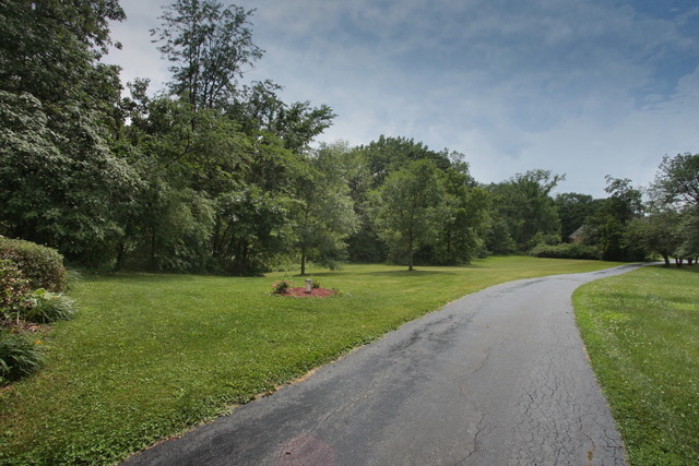 21455 Hillside Road Frankfort, IL 60423 - Photo 3 of 25 a view of a park with large trees